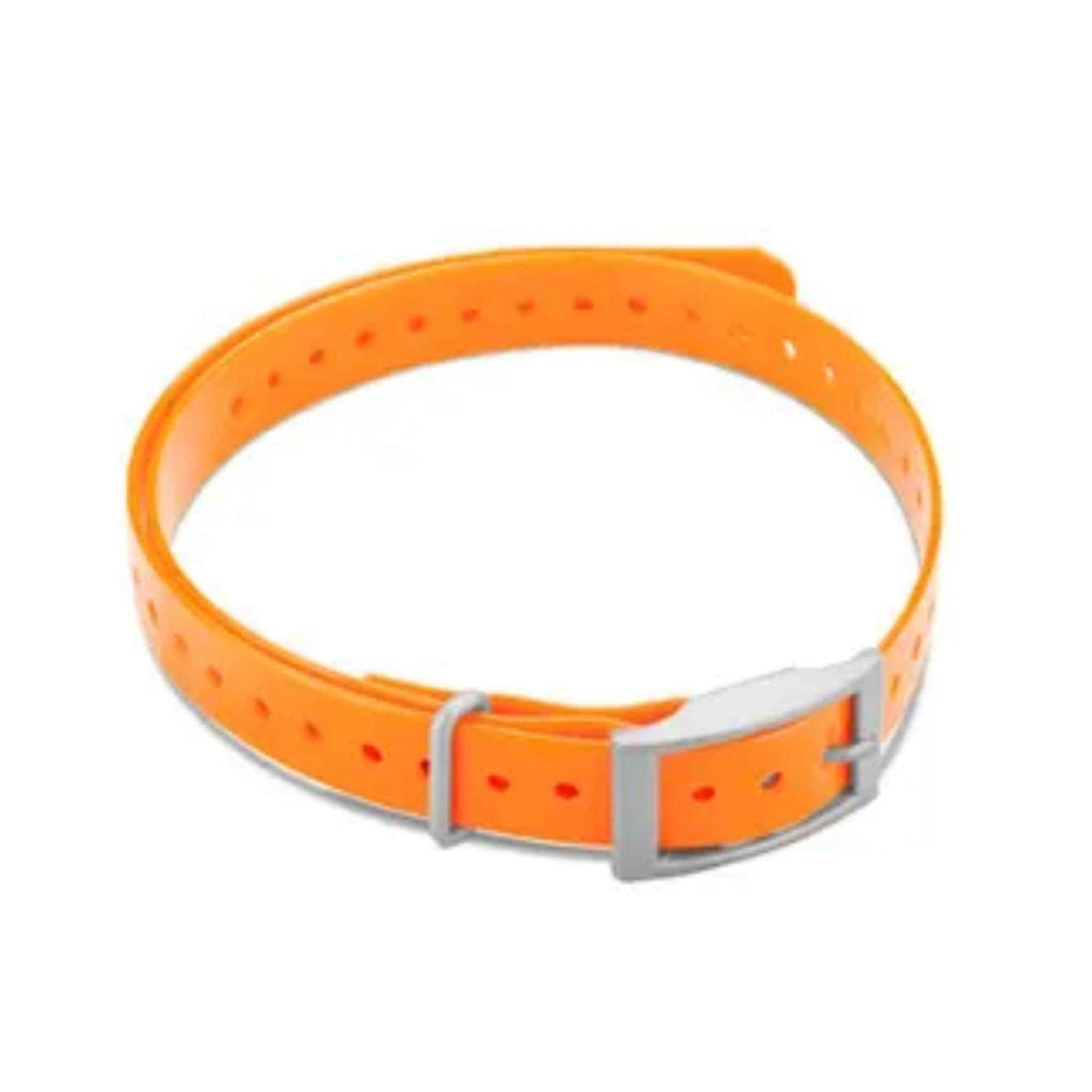 Collar Strap I723167