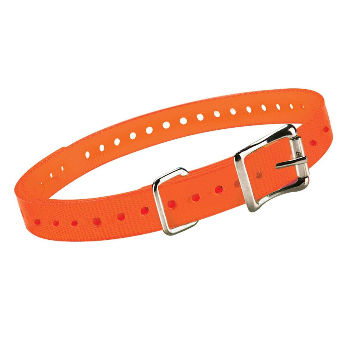 Collar Strap I723167