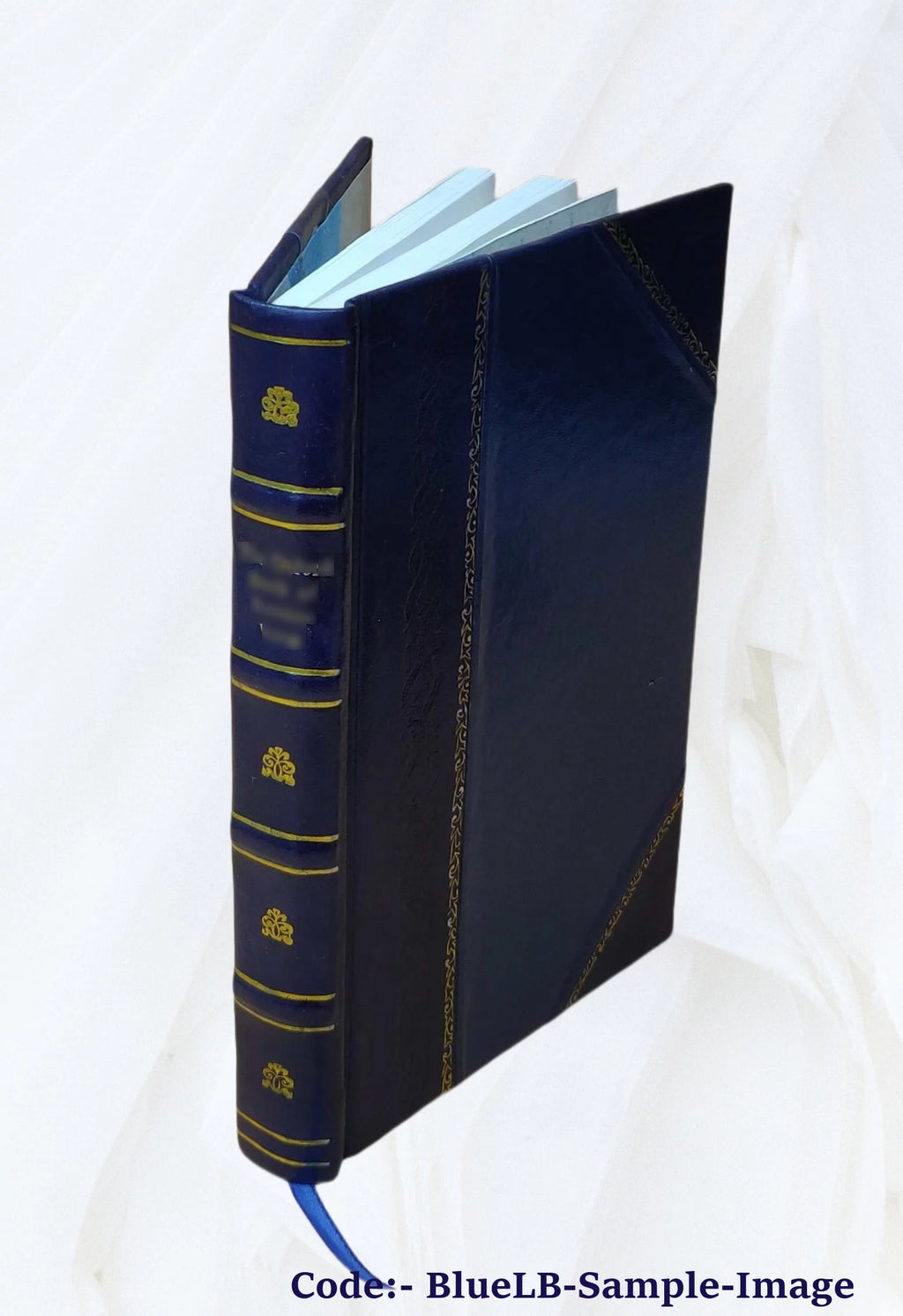 Leather Bound Book W169