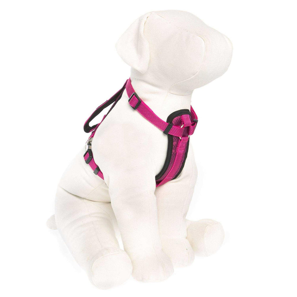 Padded Dog Harness L303792