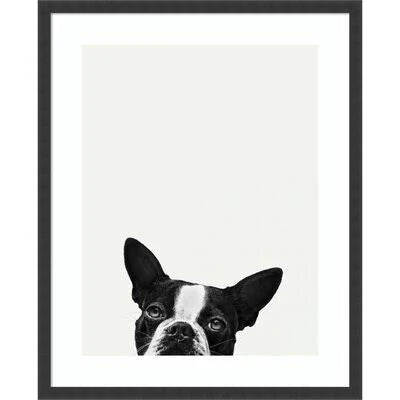 Photograph Print on Paper T590