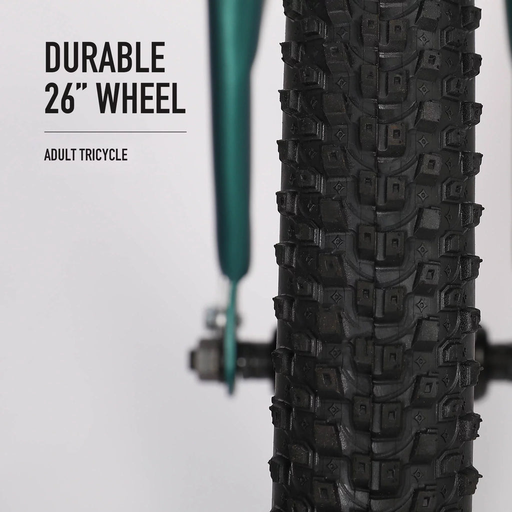 26 Inch Single Speed 3 Wheel Bike with Removable Basket H621