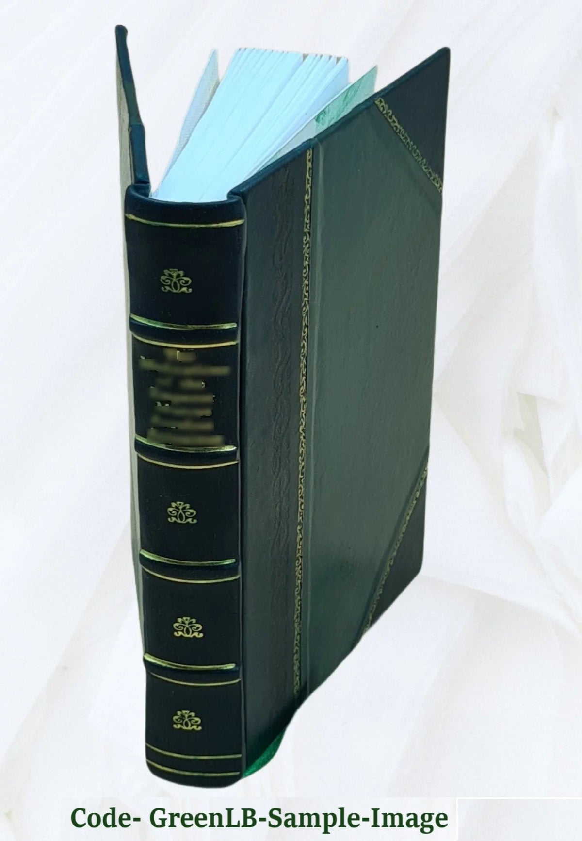 Leather Bound Book J1122
