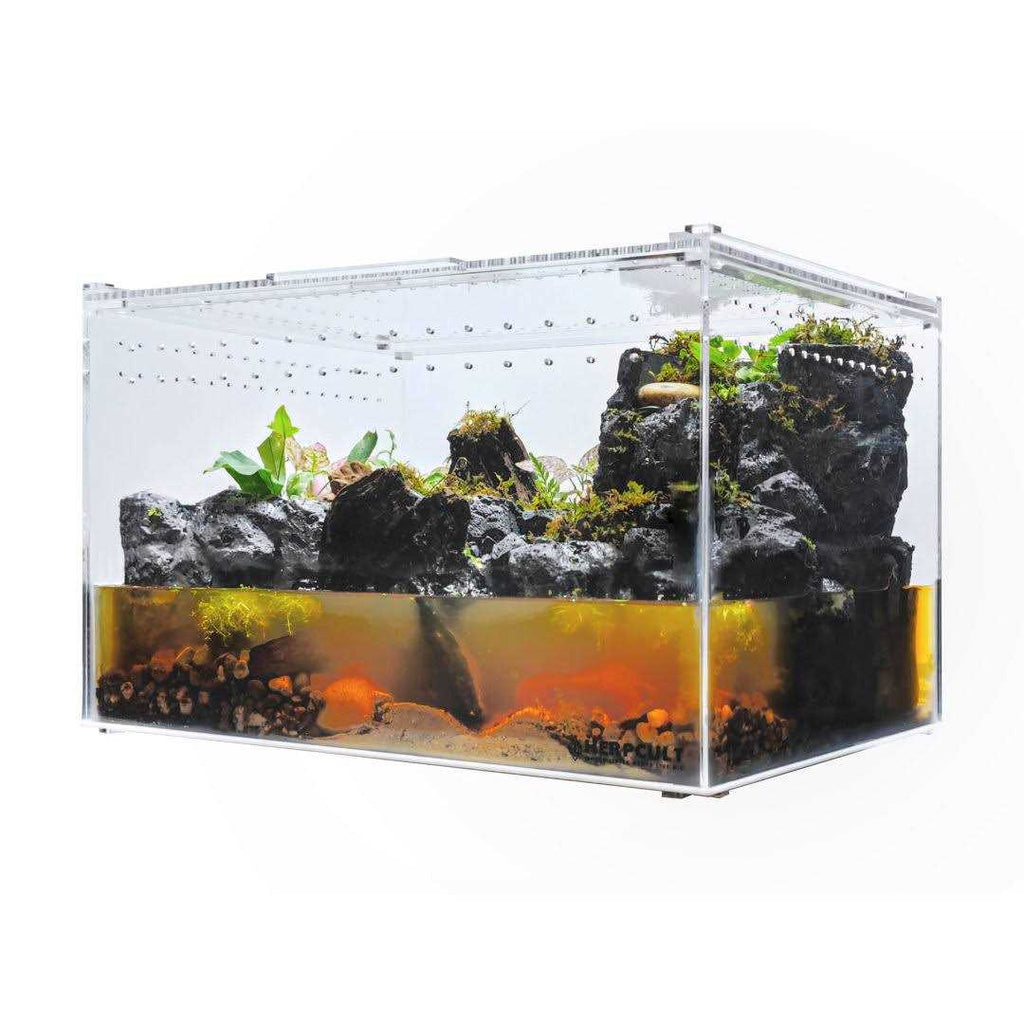 Acrylic Clear-Top Reptile Habitat N655