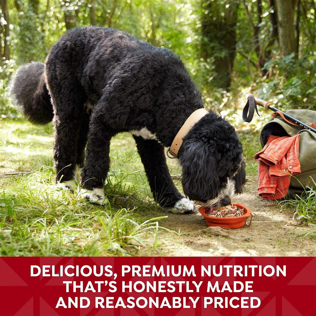 Wet Dog Food B8397