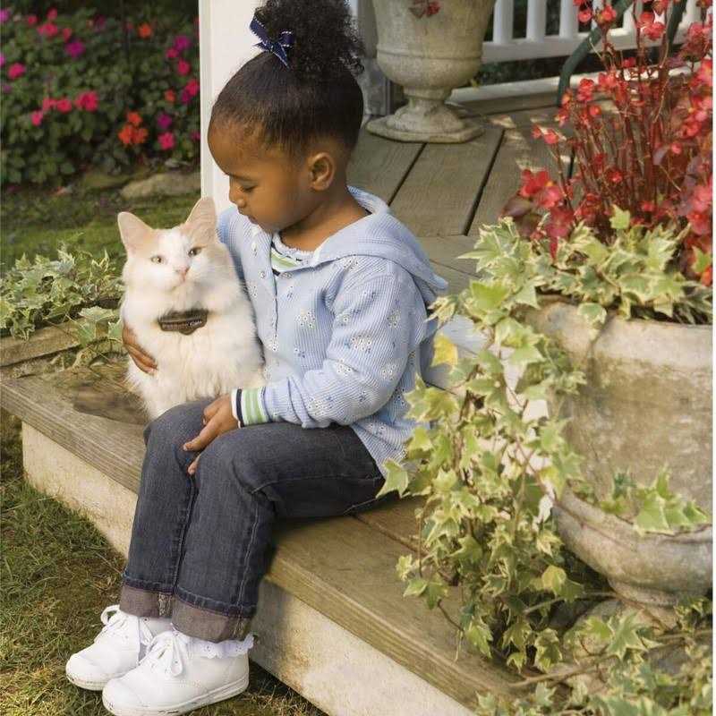 In-Ground Cat Fence Receiver Collar J743