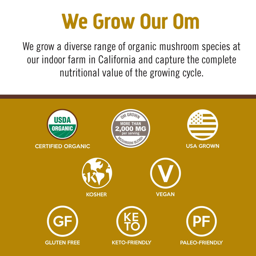 Plant-Based Protein Powder 19.26 Ounce Creamy Chocolate M982096