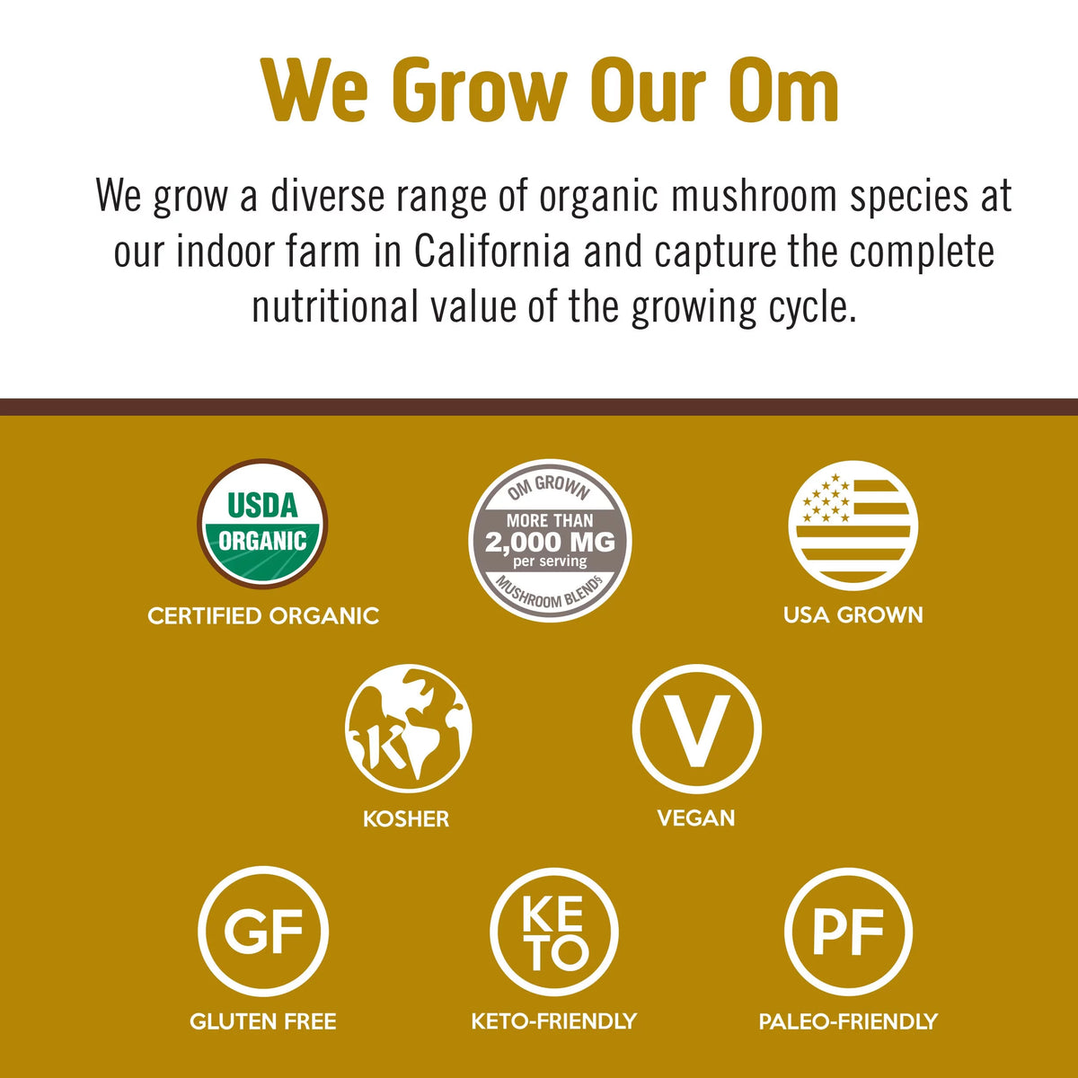 Plant-Based Protein Powder 19.26 Ounce Creamy Chocolate M982096