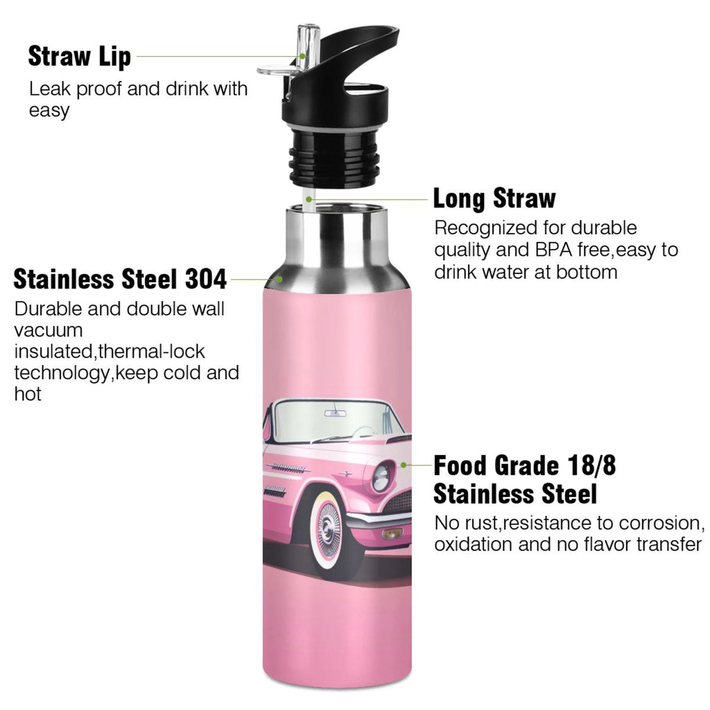 Pink Insulated Stainless Steel Water Bottle with Straw Lid 20 oz H12021