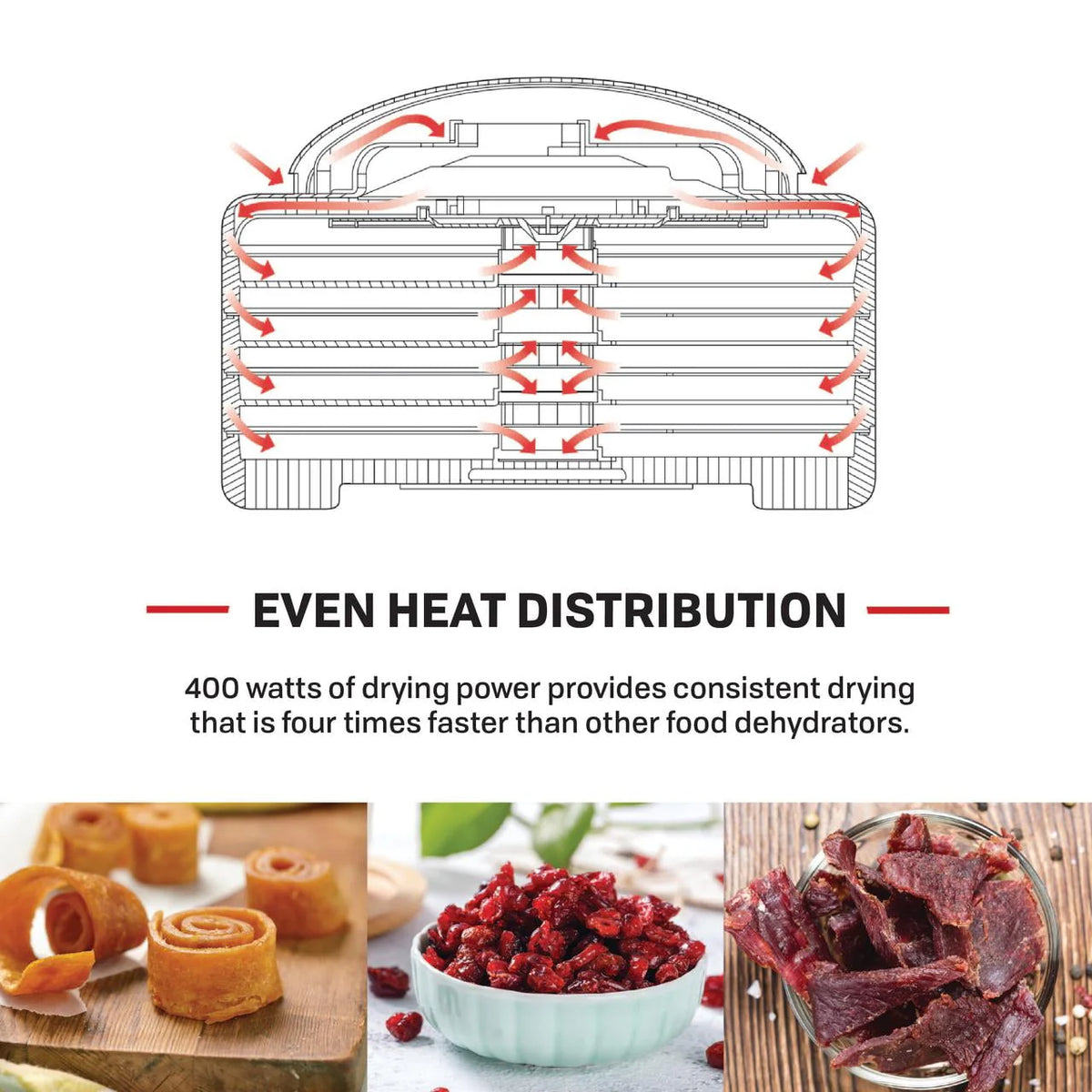 Food & Jerky Dehydrator U781