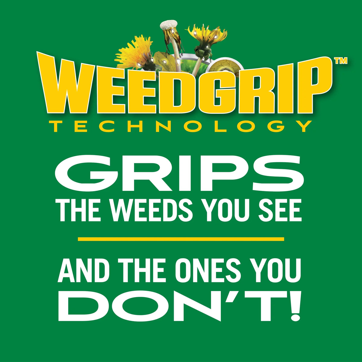 Weed & Feed 12,000 Sq. ft. 33.95 lbs. C272274