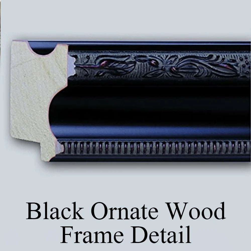Black Ornate Framed Double Matted Museum Art Print Q230