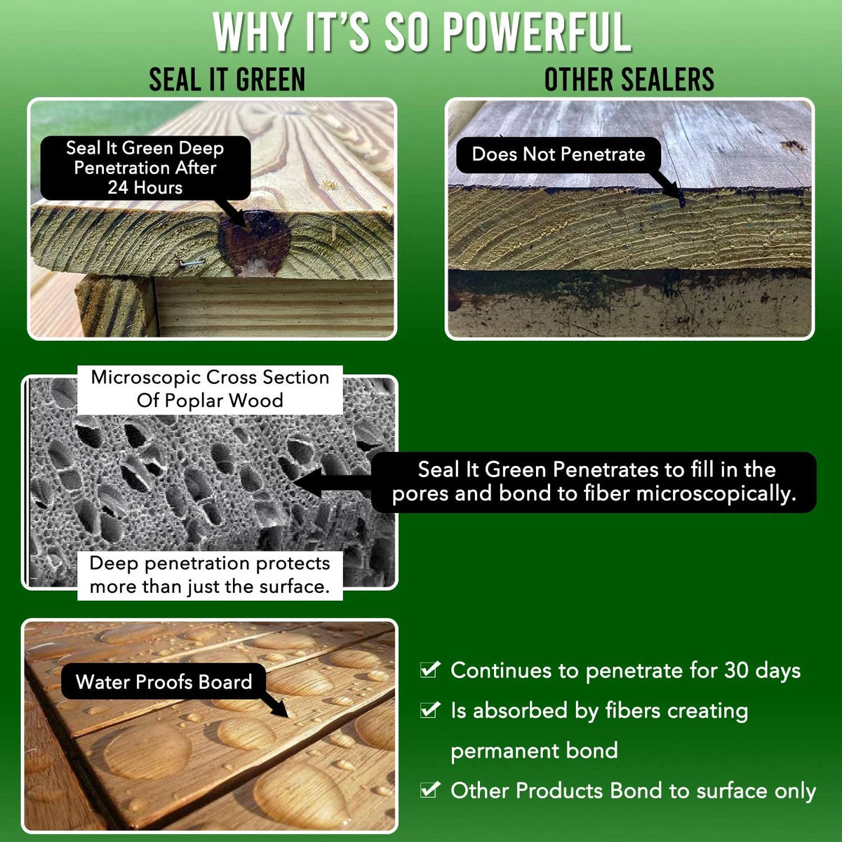 Plant Based Non-Toxic Wood Sealer Quart Kit A42469