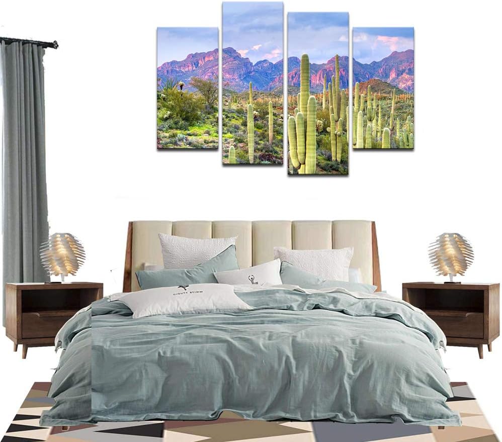 Cactus in Arizona Canvas Print Framed Wall Art X193552