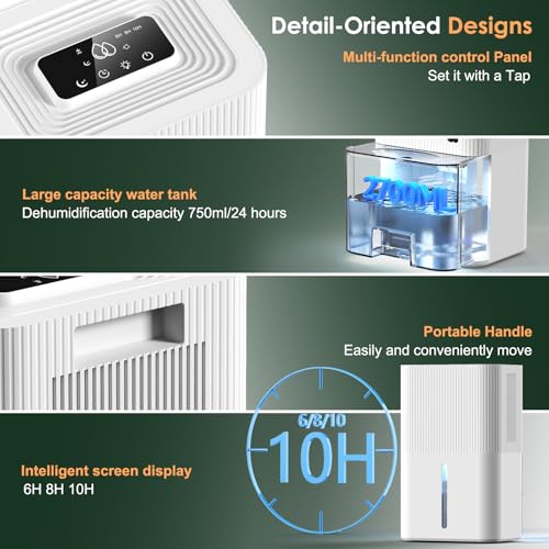 Portable Dehumidifier 91 oz White F900