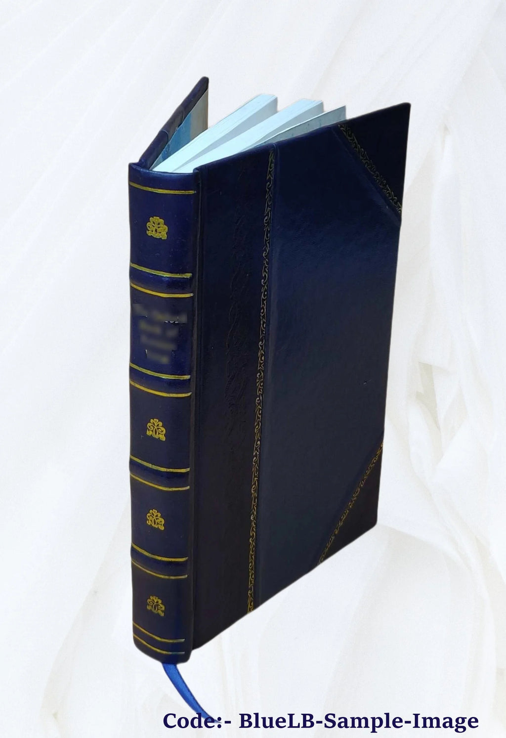 Leather Bound Book G978