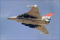 F-16XL Fighting Falcon Gallery Poster P5196