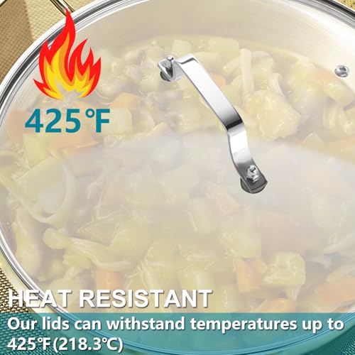 10 Inch Tempered Glass Lid with Stainless Steel Handle H604145