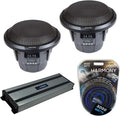 10 Subwoofer with Amplifier & Amp Kit T997314