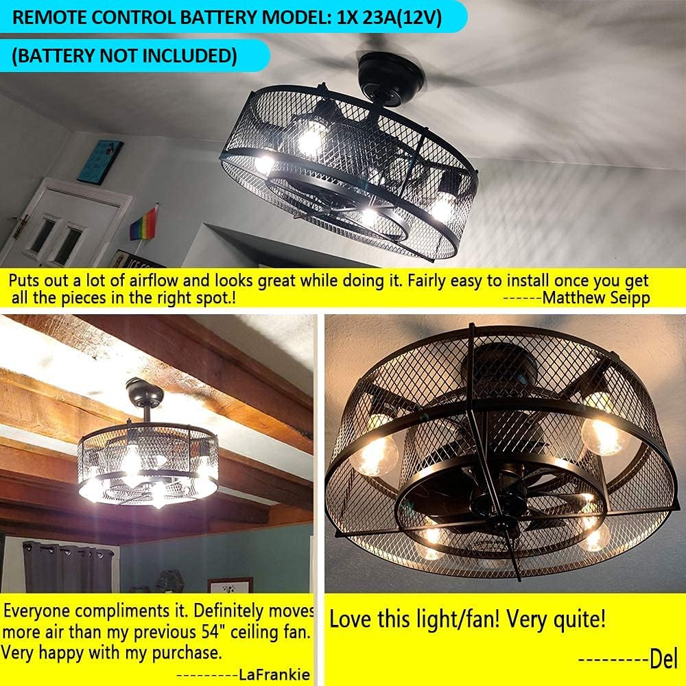 20In Caged Ceiling Fan with Light, Black V783950