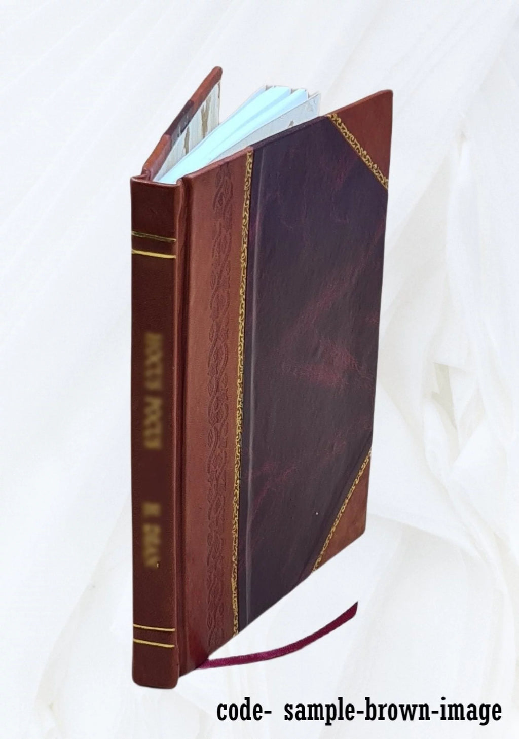 Compressed Air and Electrical Appliance Magazine Leather Bound N45920