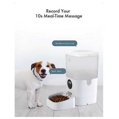 Automatic Dog Cat Feeder F5816