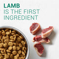 Large Breed Puppy Lamb & Rice Dry Dog Food B971