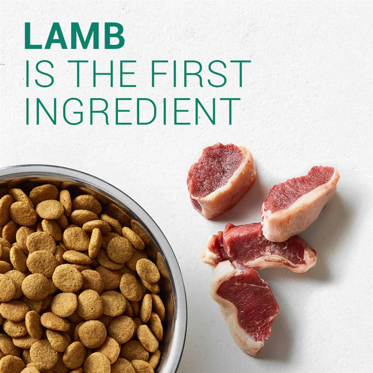 Large Breed Puppy Lamb & Rice Dry Dog Food B971