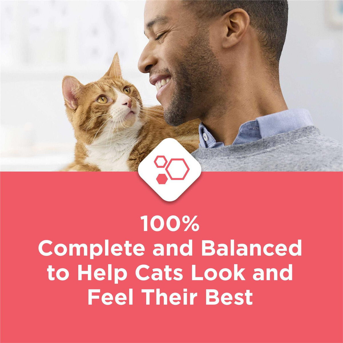 Salmon High Protein Dry Cat Food X9284