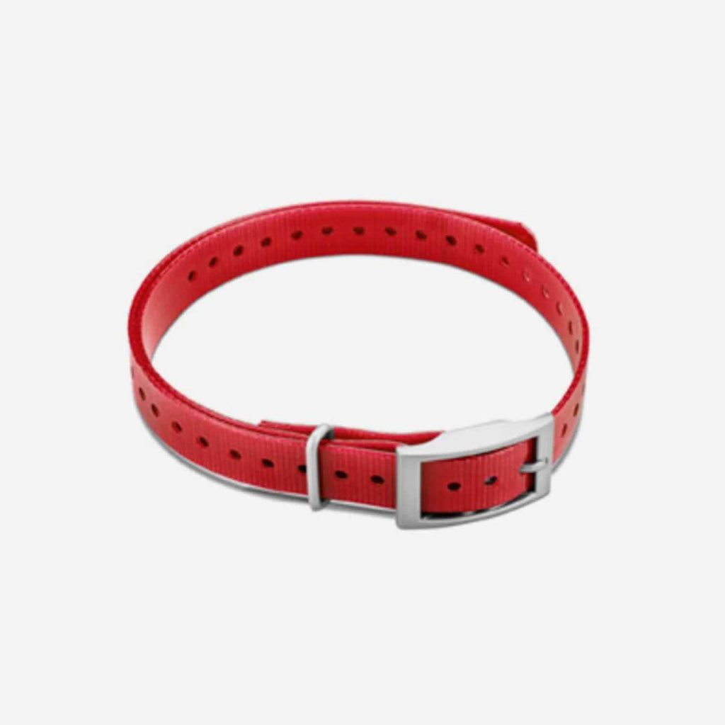 Collar Strap I723167