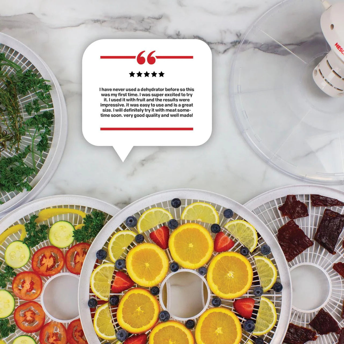 Food & Jerky Dehydrator U781