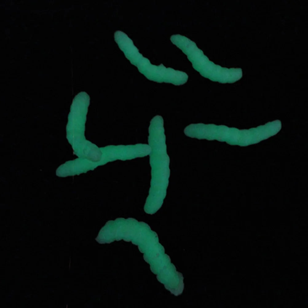 Artificial Fake Fishing Bait Insect G882480
