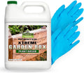 Plant Based Non-Toxic Wood Sealer Quart Kit A42469