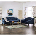 Blue Fabric Tufted 2-Piece Sofa Set D458