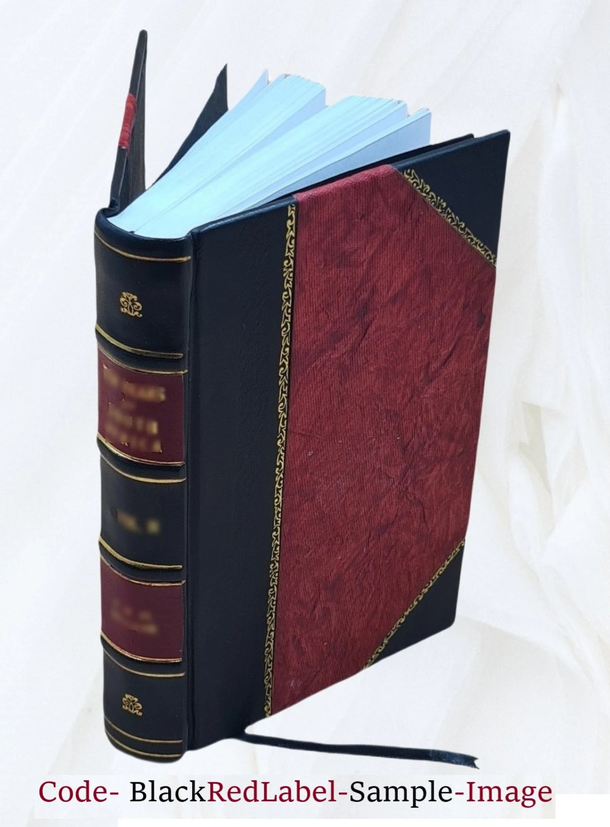 Leather Bound Book G978